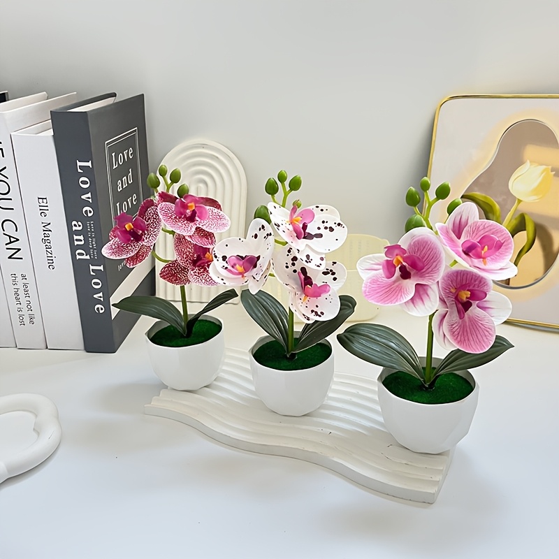 3pcs Artificial Phalaenopsis O - огляд і ціна Succulent Set