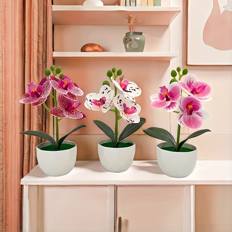 3pcs Artificial Phalaenopsis O - огляд і ціна Succulent Set