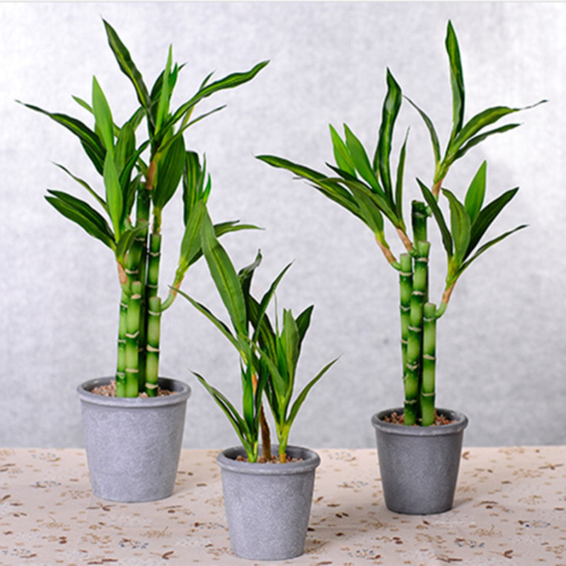 New 40cm Artificial Lucky Bamb - огляд і ціна Succulent Set