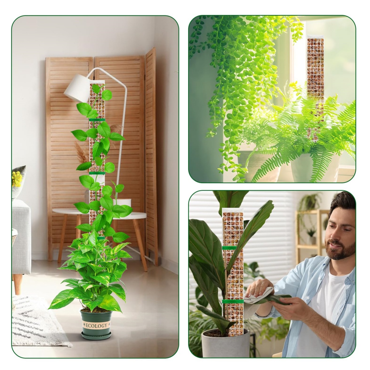Stackable Plastic Moss Pole fo - огляд і ціна Plant Support Stake