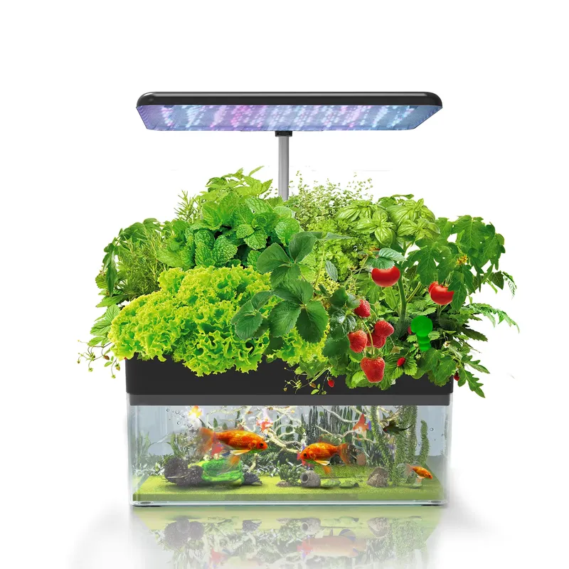 Brand IGS-70 Indoor Hydroponic - огляд і ціна Indoor Plants