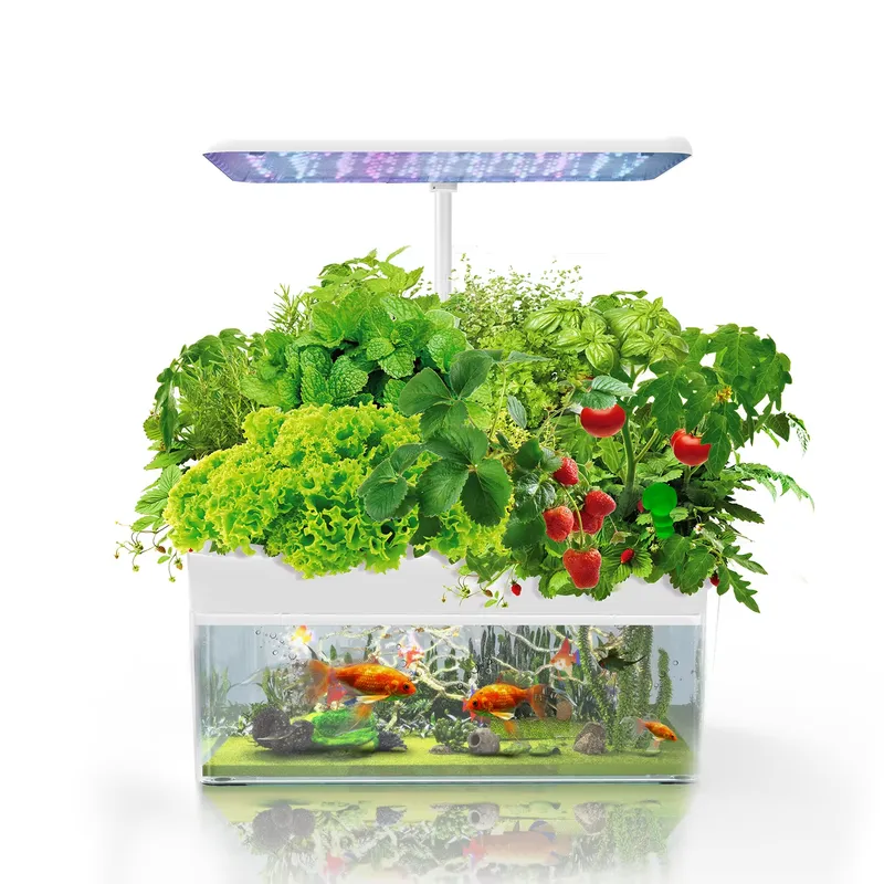 Brand IGS-70 Indoor Hydroponic - огляд і ціна Indoor Plants