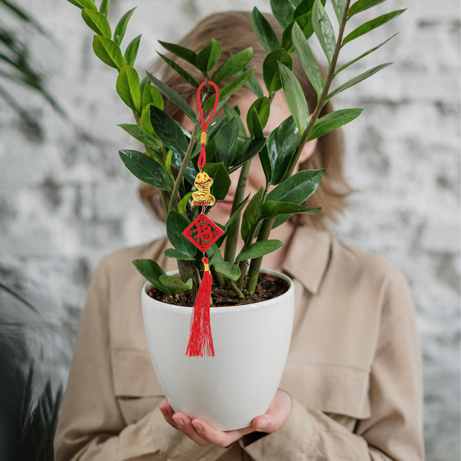 5Pcs Year of The Snake 2025 Wo - огляд і ціна Snake Plant