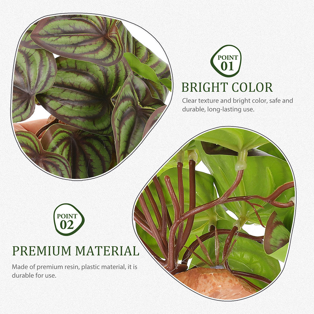 High Quality Simulation Terrar - огляд і ціна Snake Plant