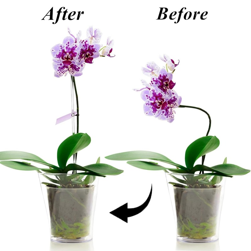 Reusable Clear Flower Support  - огляд і ціна Plant Support Stake