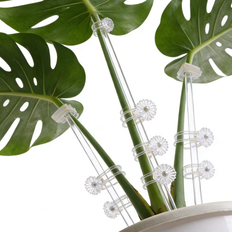 Reusable Clear Flower Support  - огляд і ціна Plant Support Stake