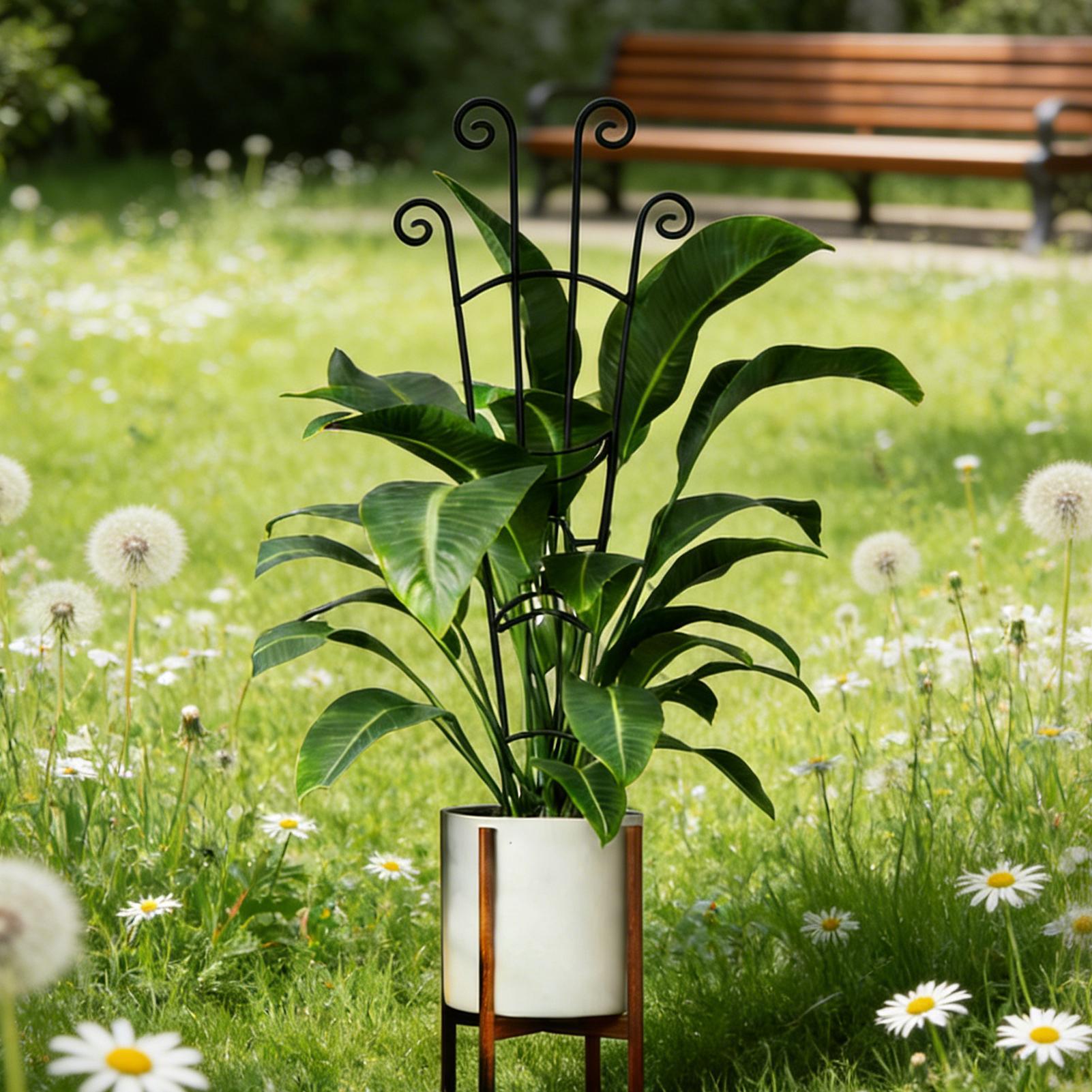 Plant Trellis Metal Plant Supp - огляд і ціна Plant Support Stake