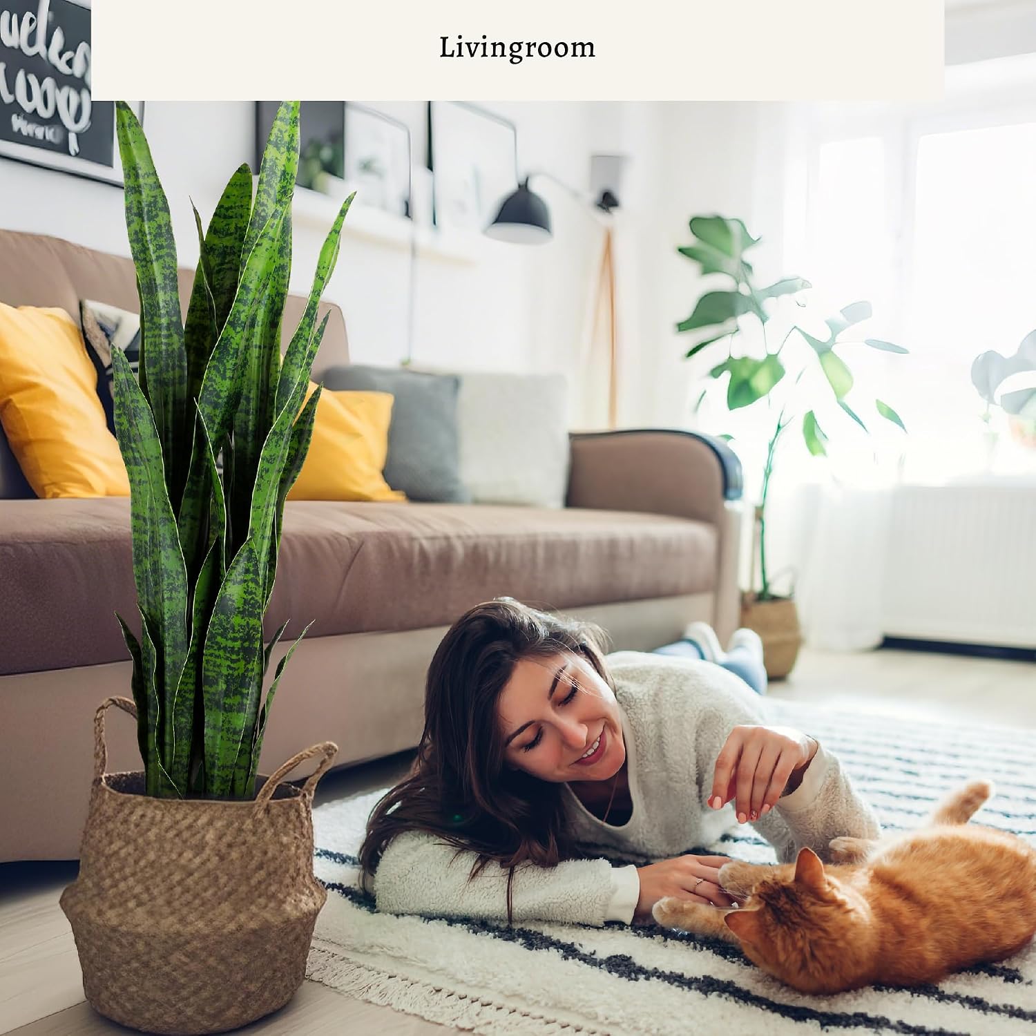 Artificial Snake Plant, 35in G - огляд і ціна Snake Plant