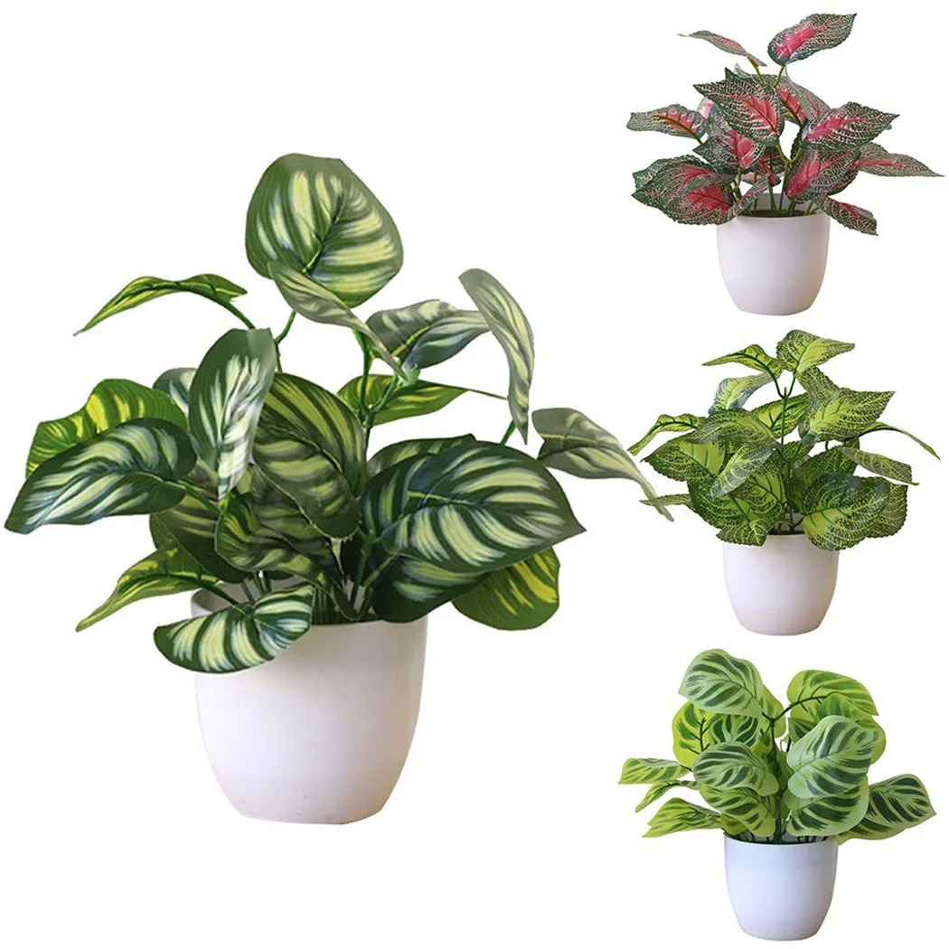 1PC Artificial Foliage Plant P - огляд і ціна Succulent Set