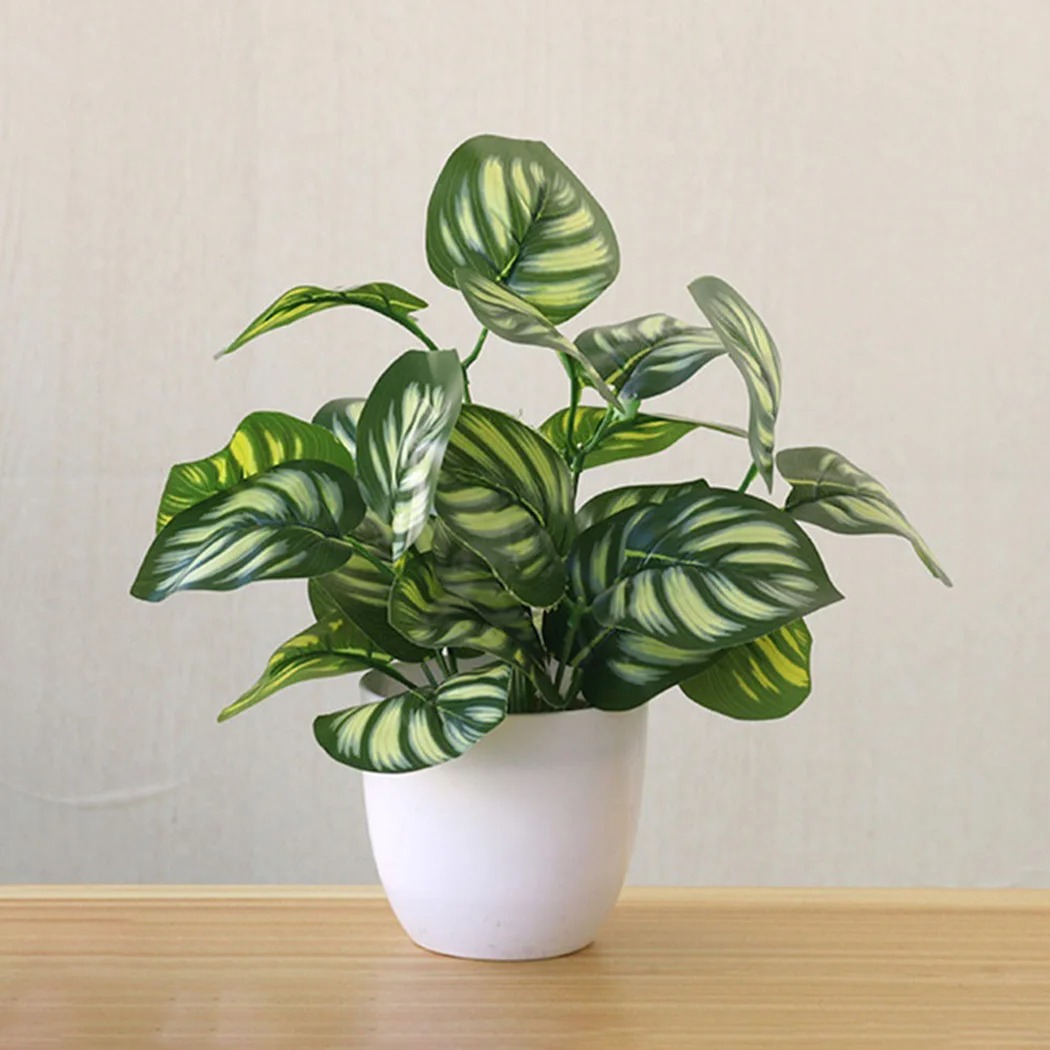 1PC Artificial Foliage Plant P - огляд і ціна Succulent Set